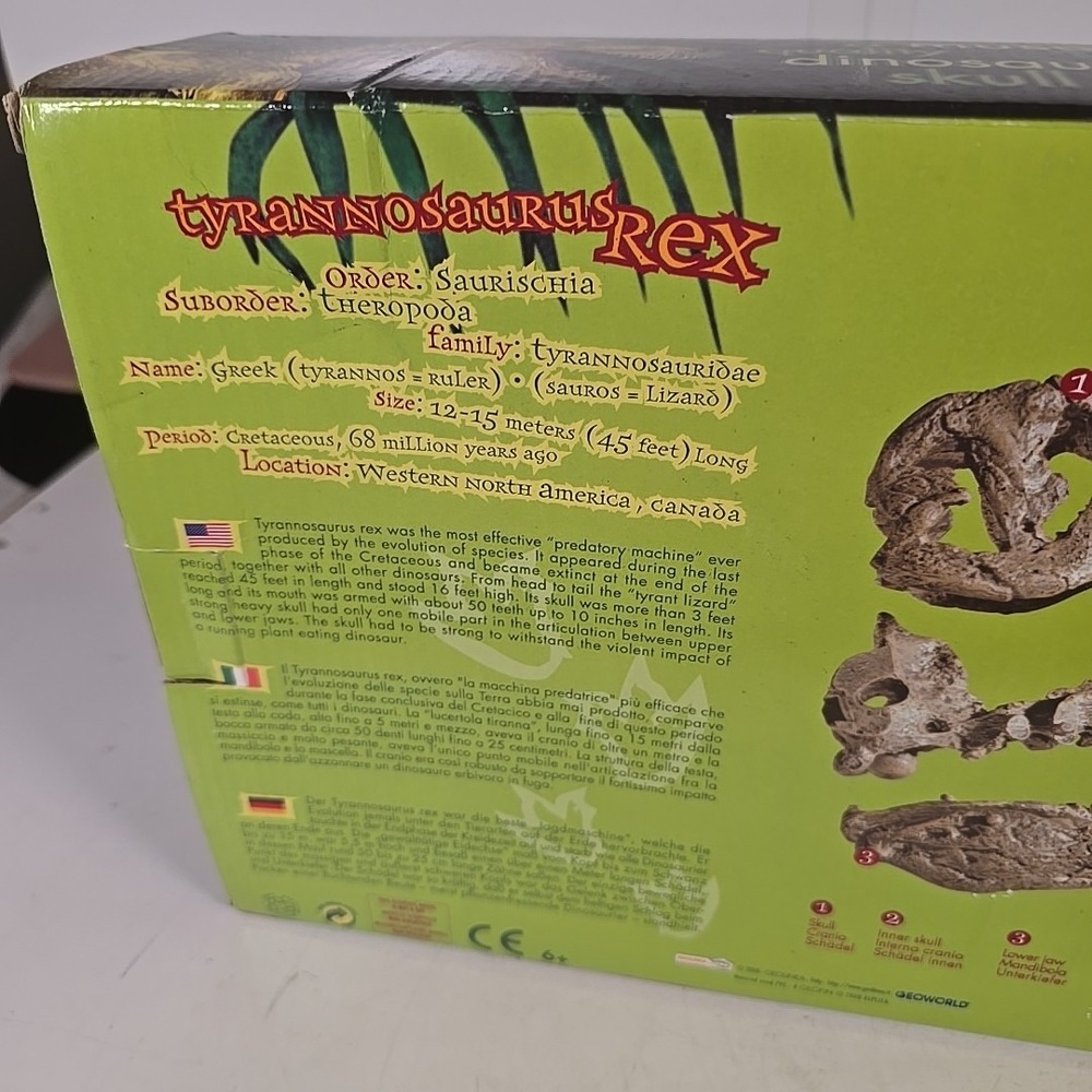 Geolinea Fossil Replicas T-Rex Dinosaur Skull High‎ Definition 1:10 Replica - Picture 10 of 13
